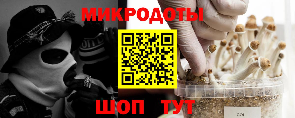 Хабаровск  Галлюциногенные грибы мухоморы  Псилоцибиновые грибы Cubensis  Вход с VPN 